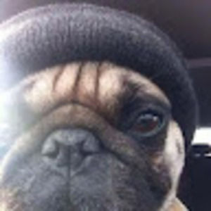 Meet your Posher, Simmy